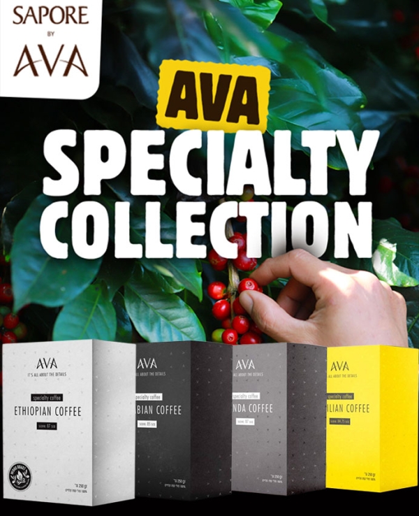 AVA Specialty | Journey Bundle | Limited Edition